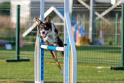 supernova_1