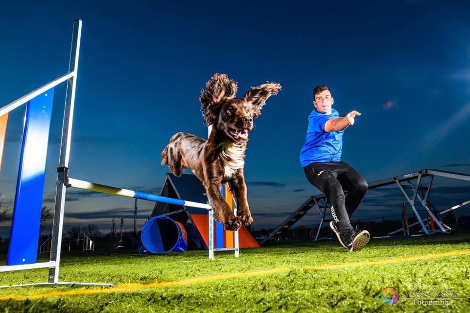 siri jumping
