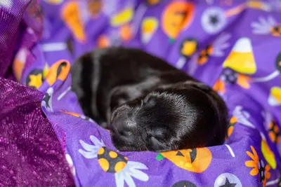 7d2acb43 24e3 4ecd 9120 f1e6e1f8426f