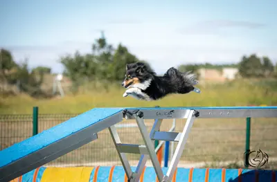 adrenalina_5
