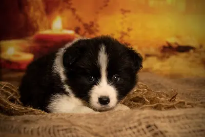 Beautiful Lyrics A Million Dreams ~ Georgia 1