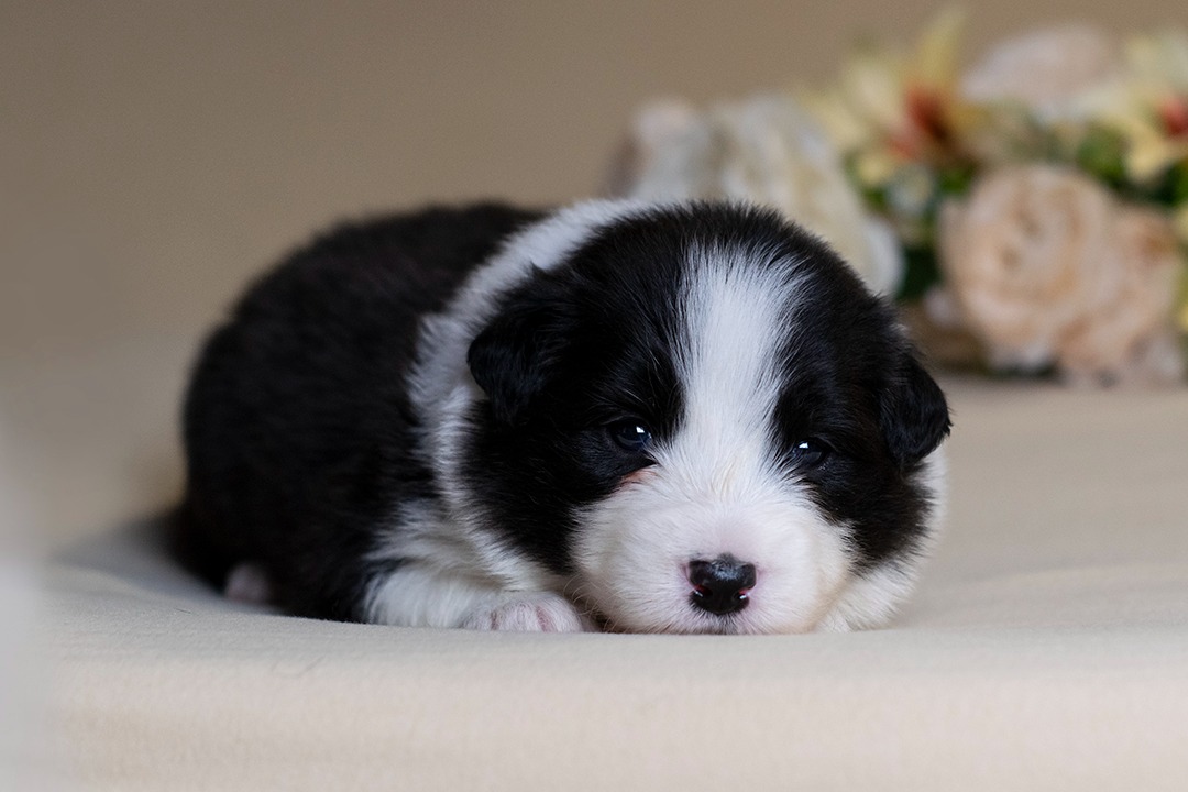 Beautiful Lyrics Never Enough ~ Kai