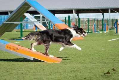 PHOTO 2022 06 23 21 49 26 3