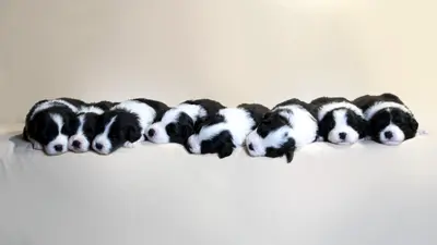 Todos juntos